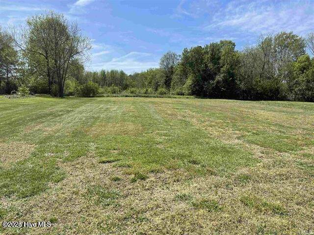 Homes for sale in Garysburg, NC | 6426 Carolina 46, Garysburg, NC 27831 | MLS# 100551032