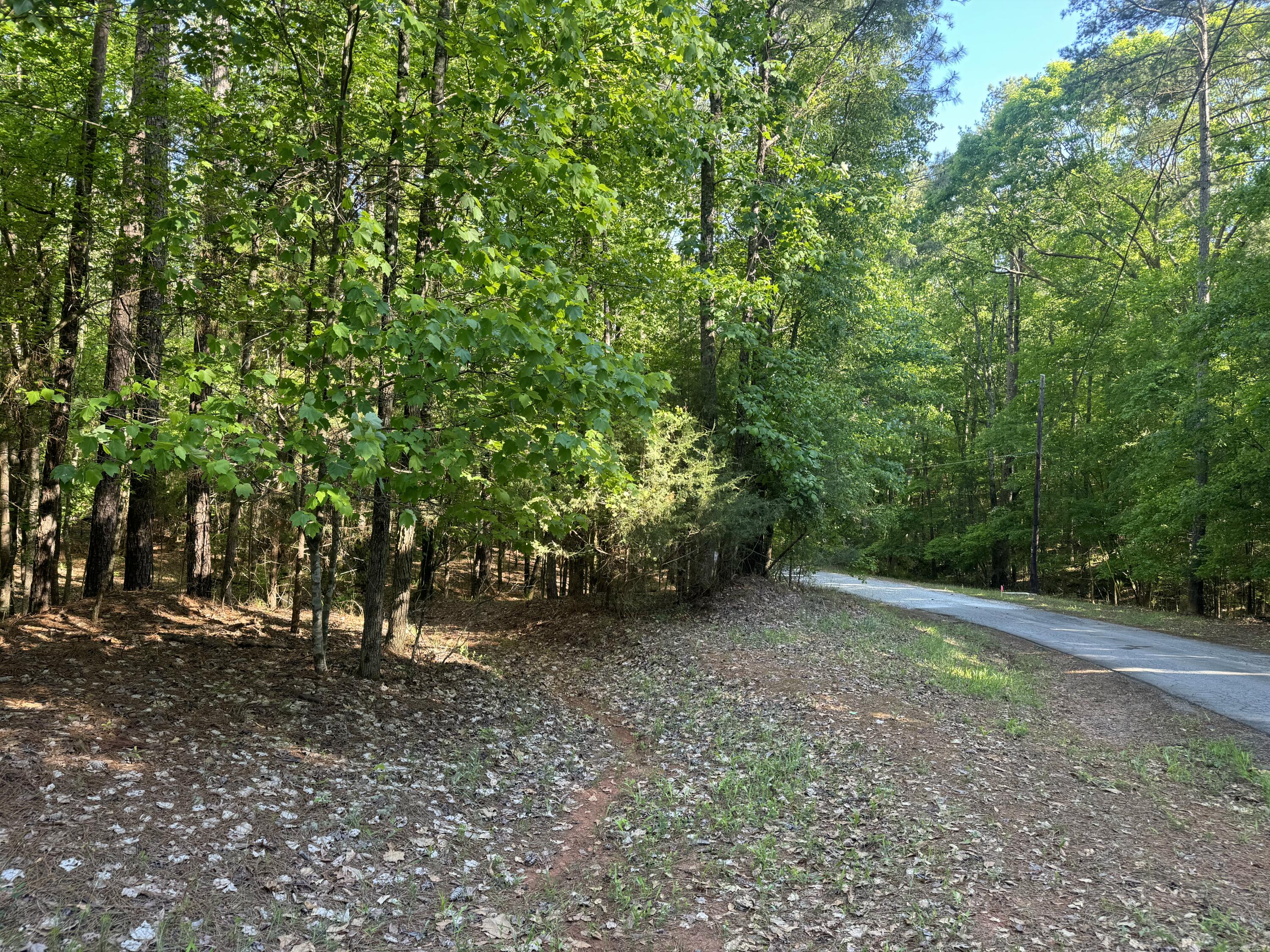 0 RIDGE Road, Appling, GA, 30802