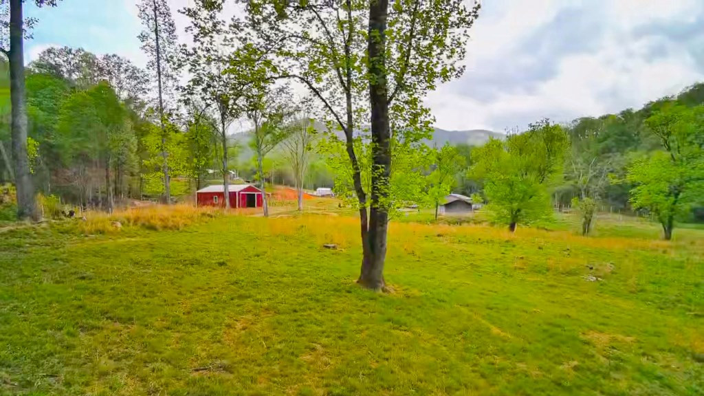 3325 Pack Mountain Road, Murphy, NC 28906 Listing Photo  49