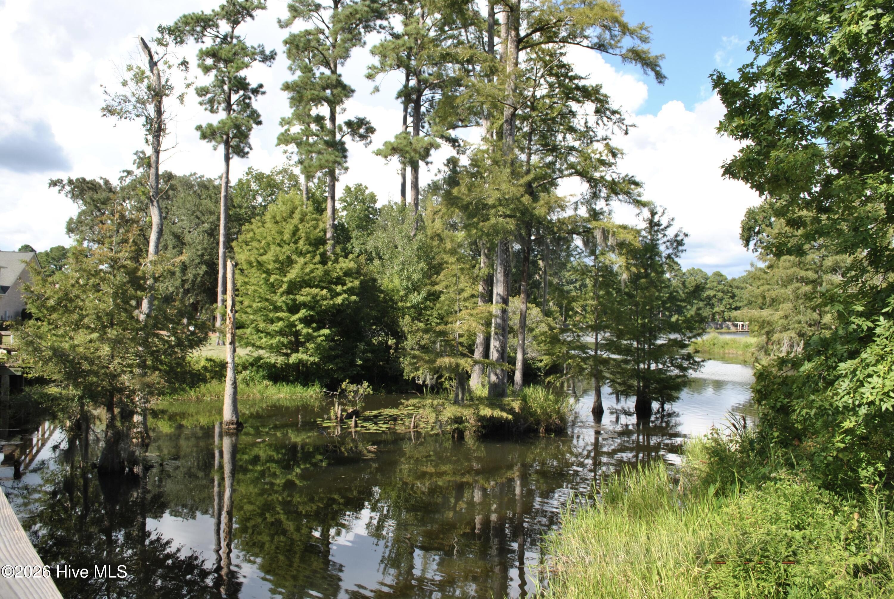 100554924 | Photo 61