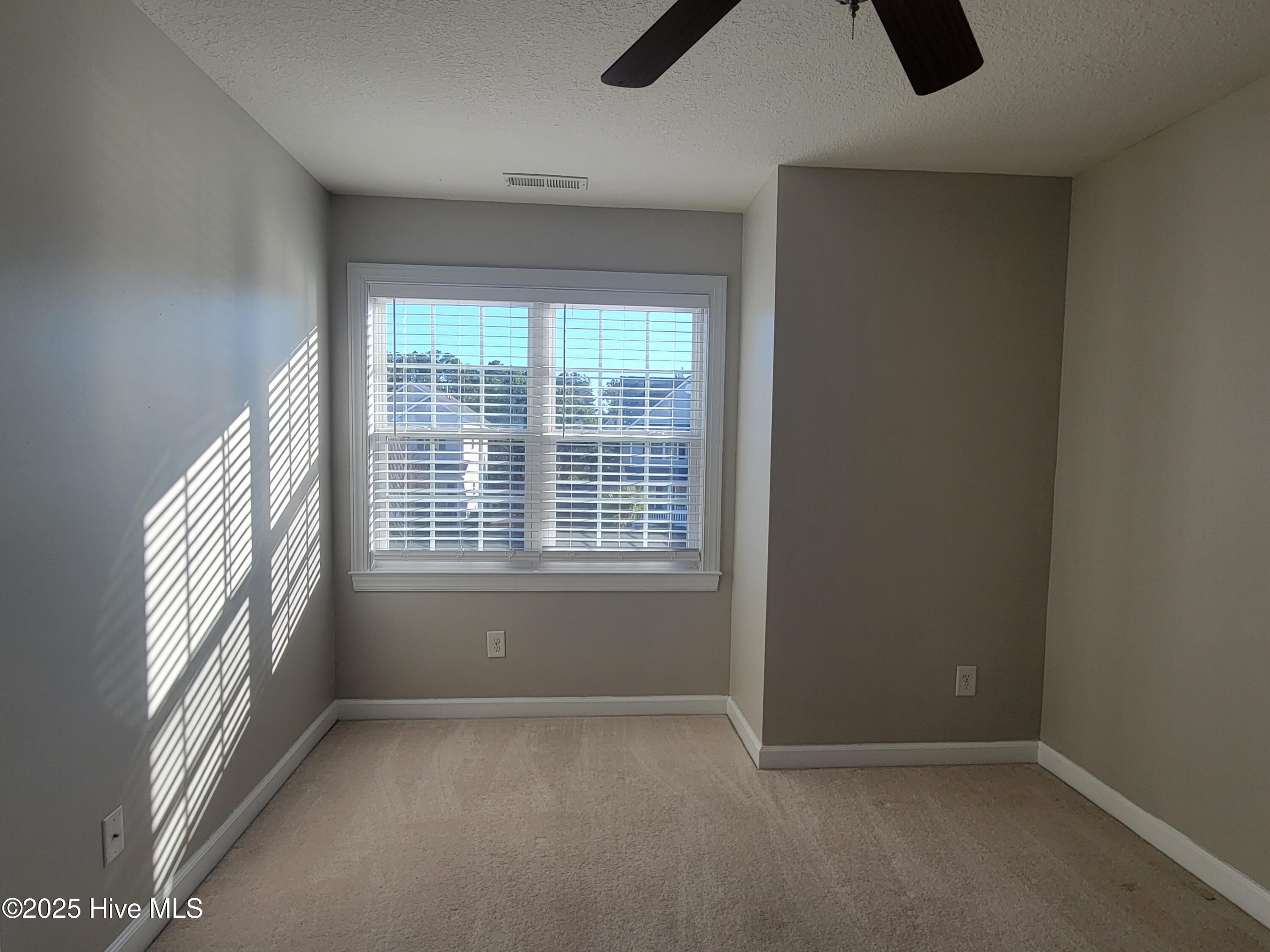 100537987 | Photo 20