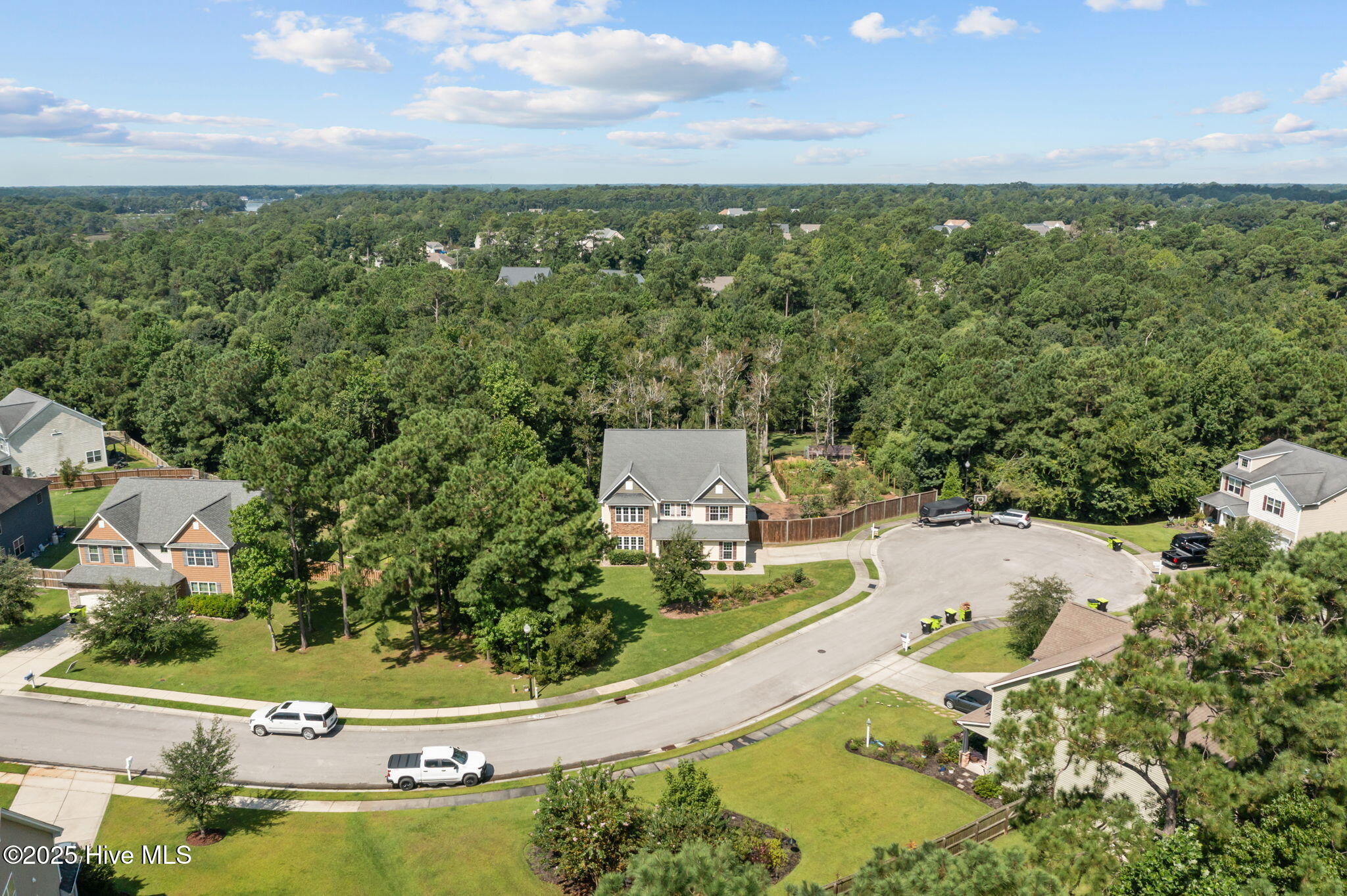 100525324 | Photo 29