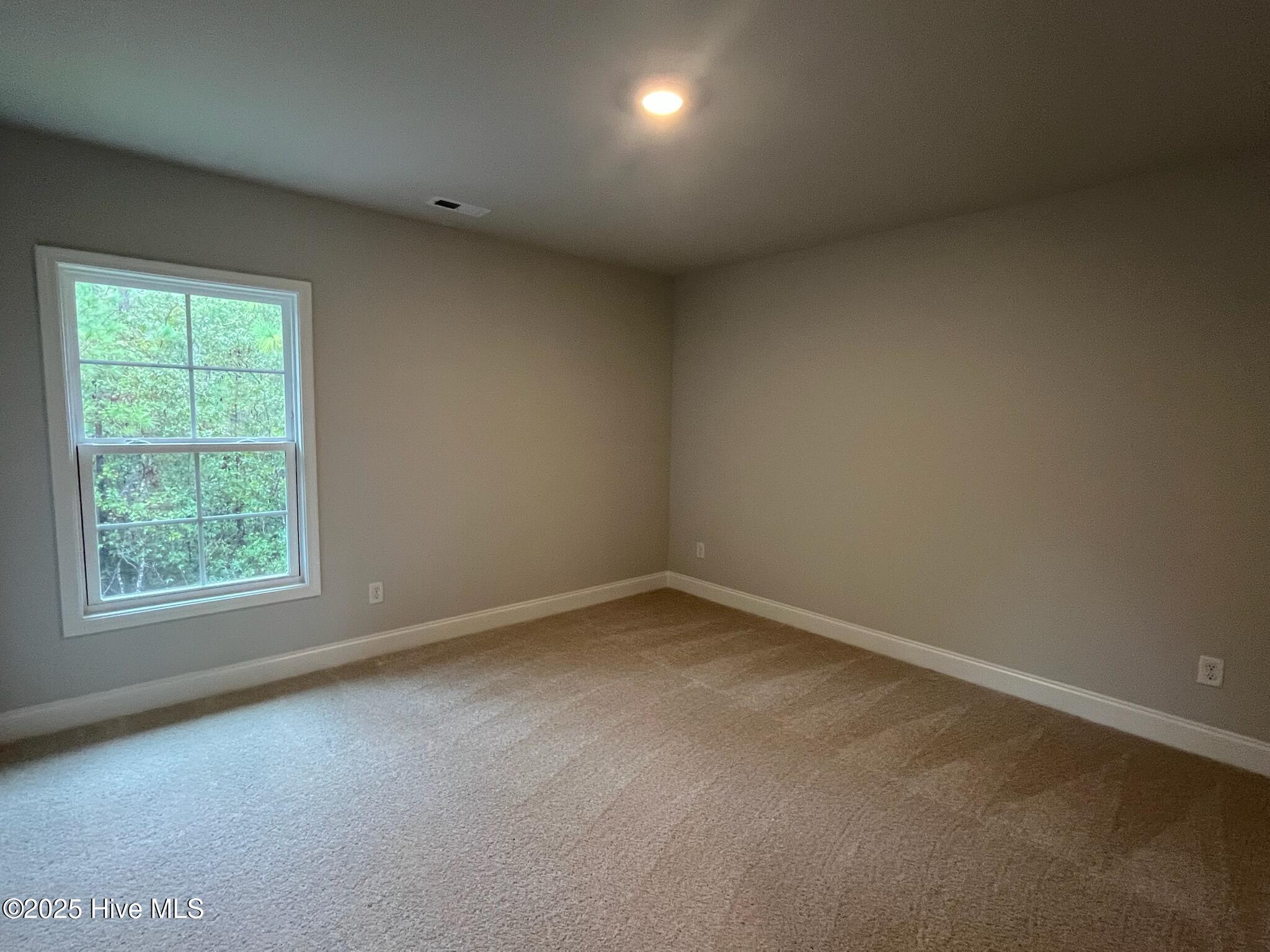 100423282 | Photo 39