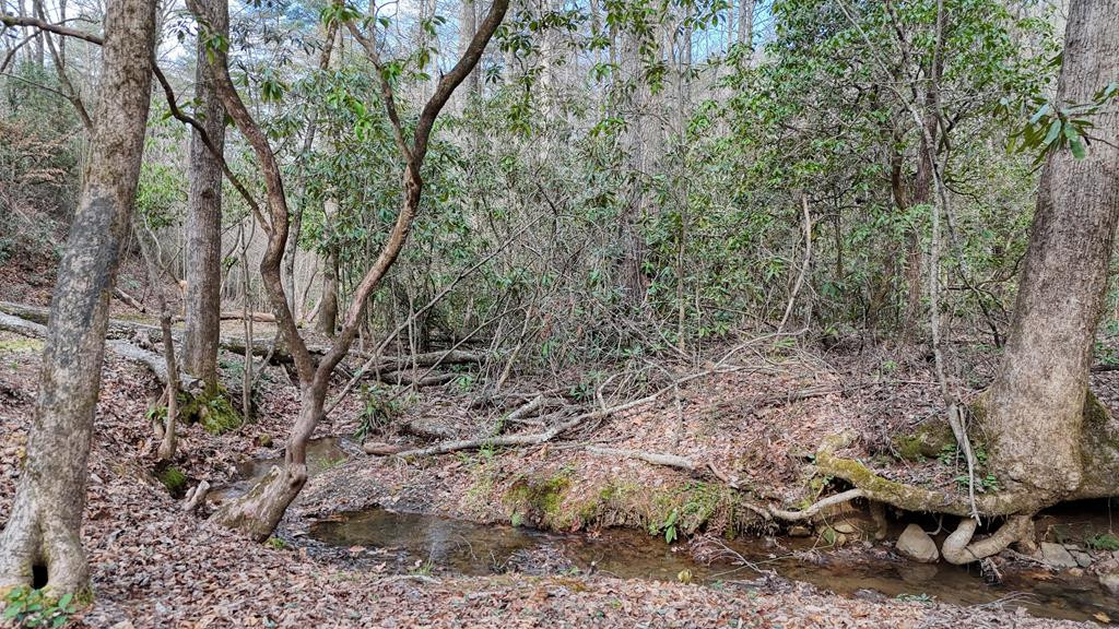 520 Farmer Drive, Murphy, NC 28906 Listing Photo  122