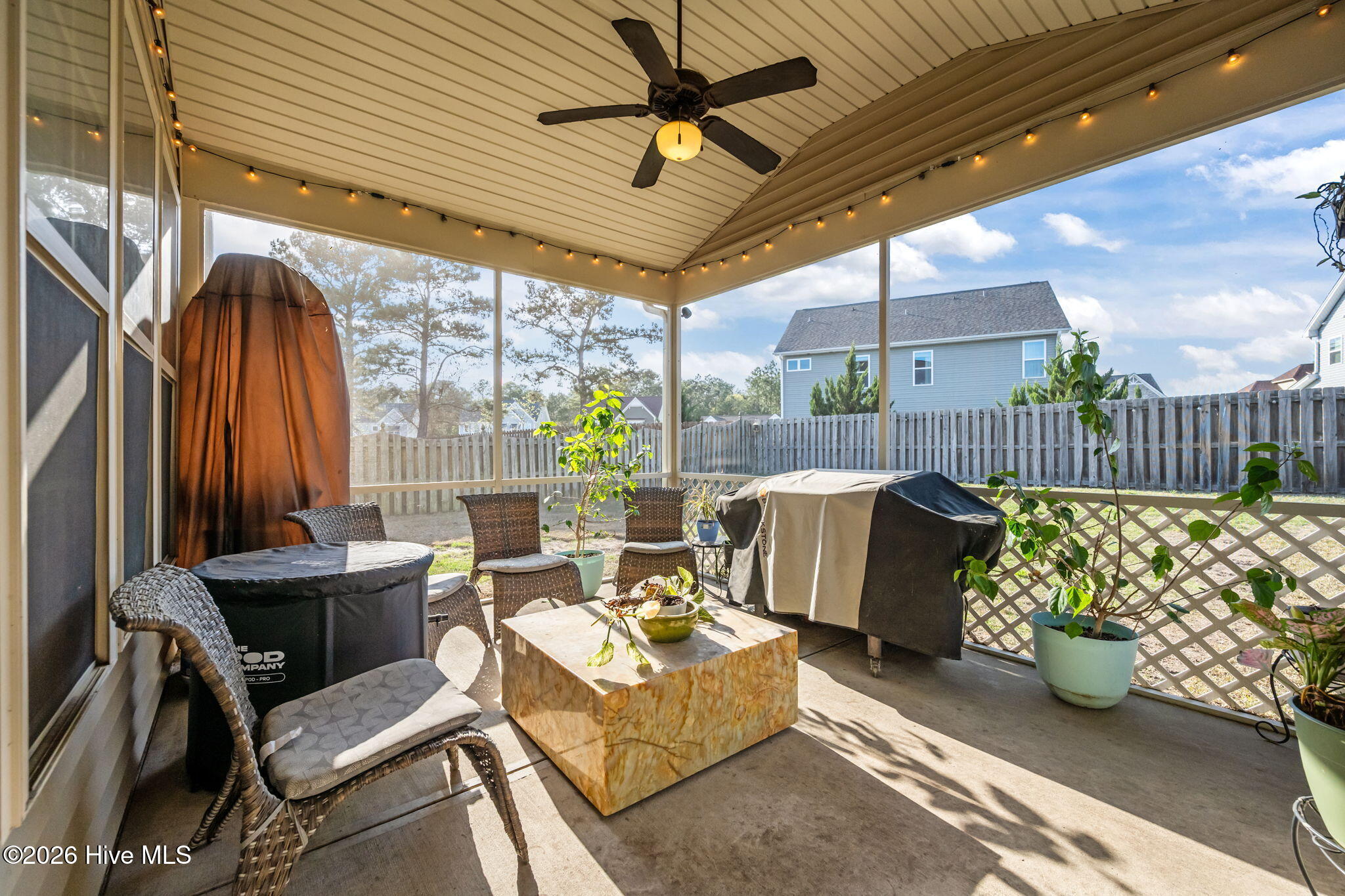 100564669 | Photo 38