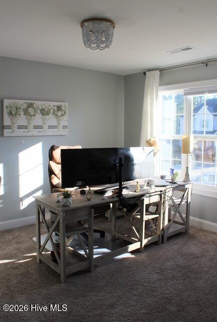 100548455 | Photo 44