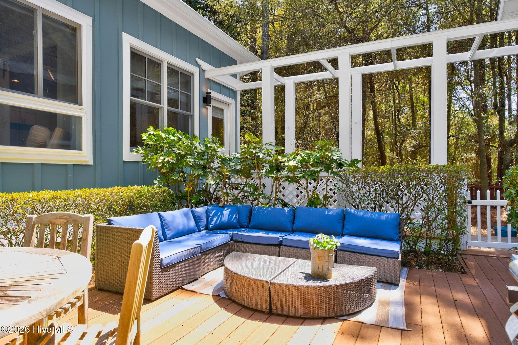 100564993 | Photo 43