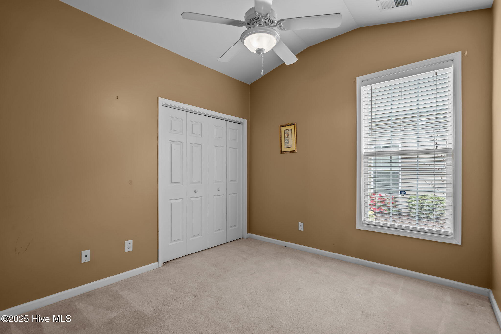 100538741 | Photo 31