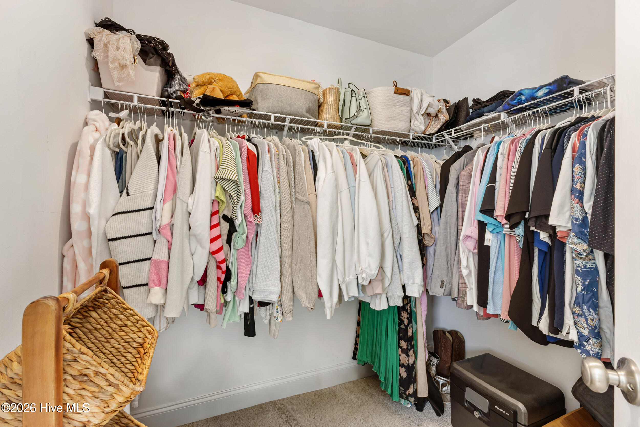 100557086 | Photo 23