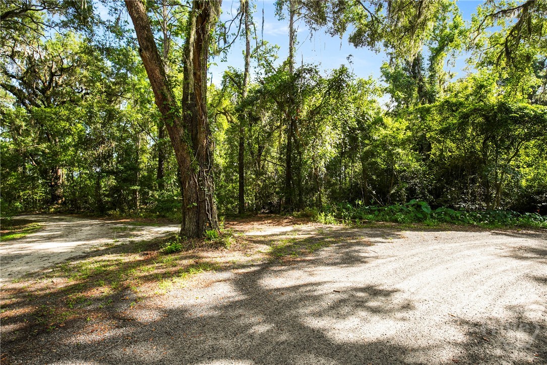 Big Oak Rd & Little Oak Rd Intersection (Community Area path to the left)
