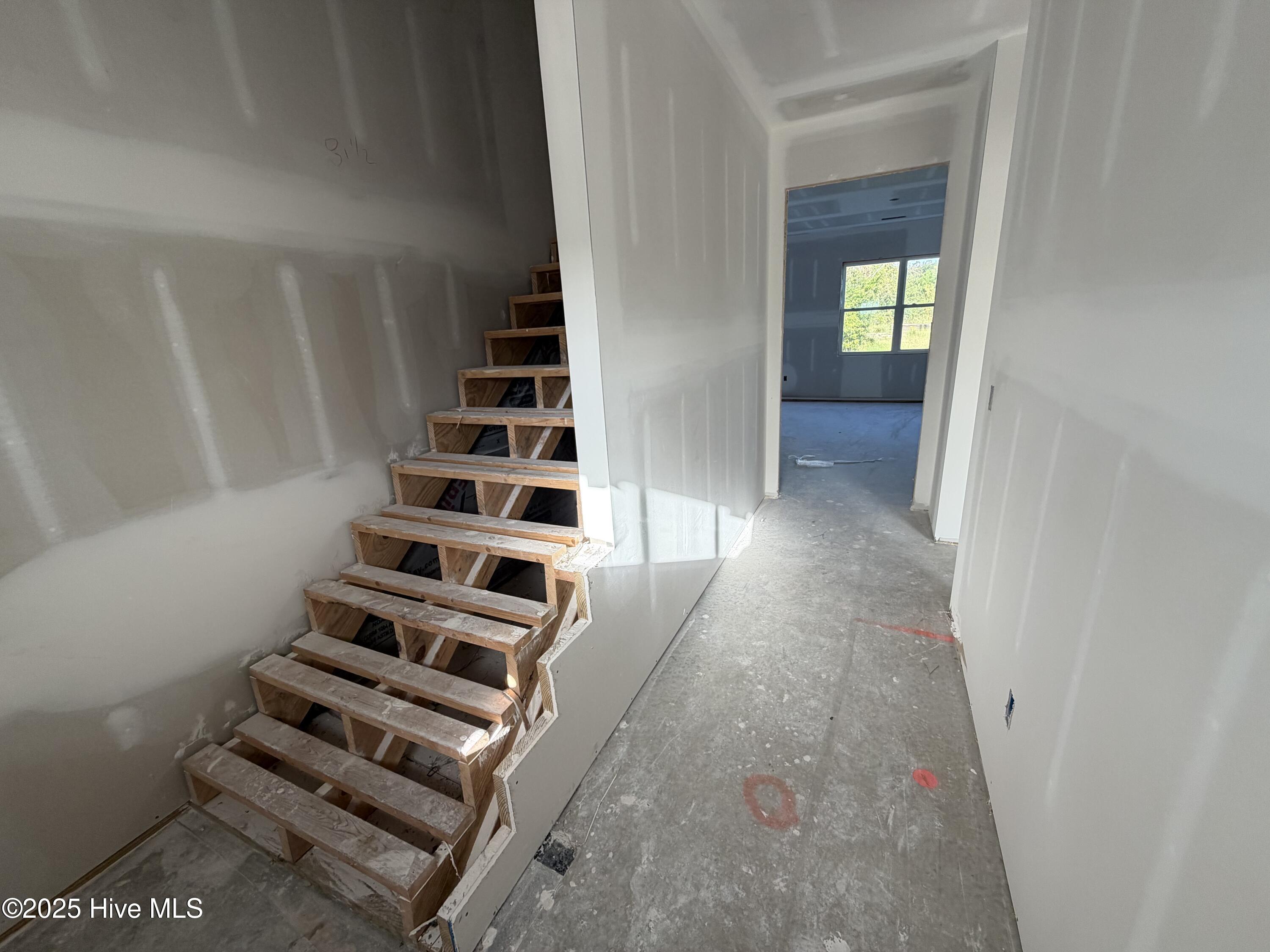 100521139 | Photo 17