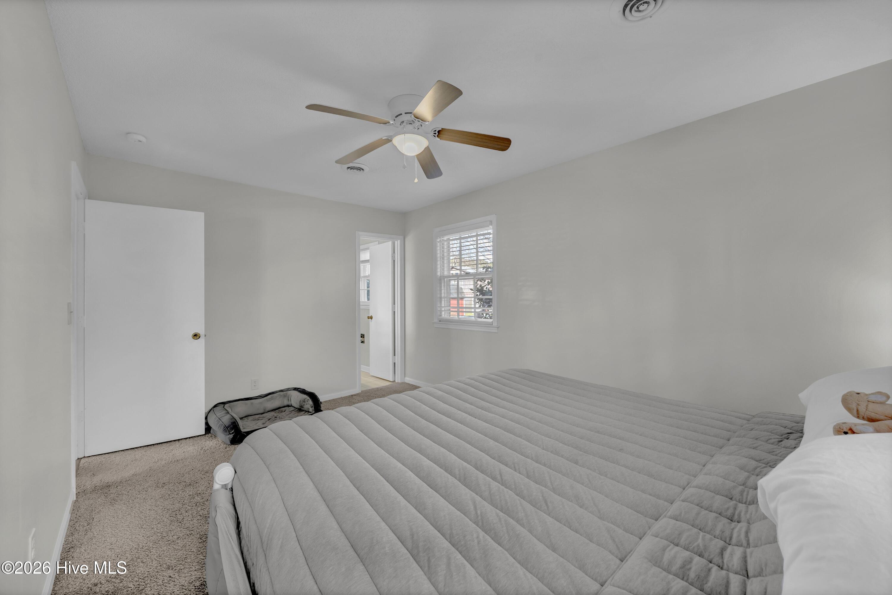 100550885 | Photo 15