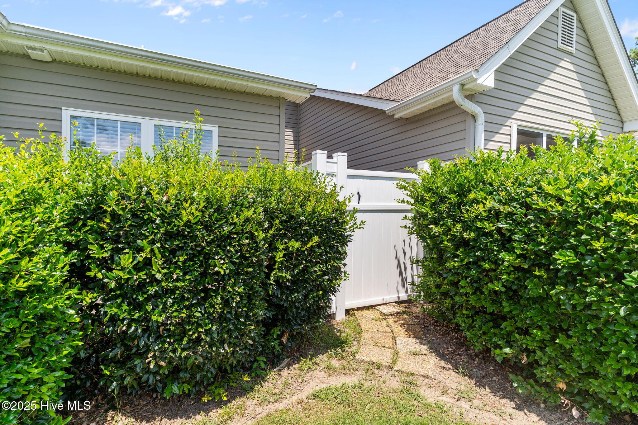 100522397 | Photo 38