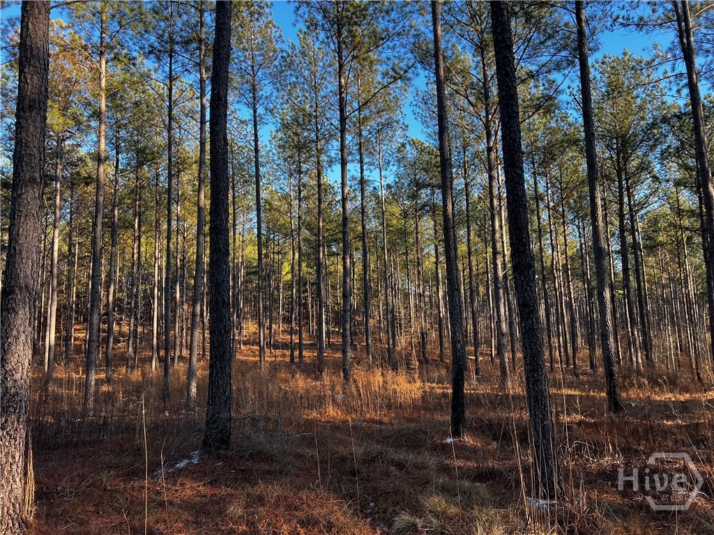 2285 Cherokee Road, Comer, GA, 30629