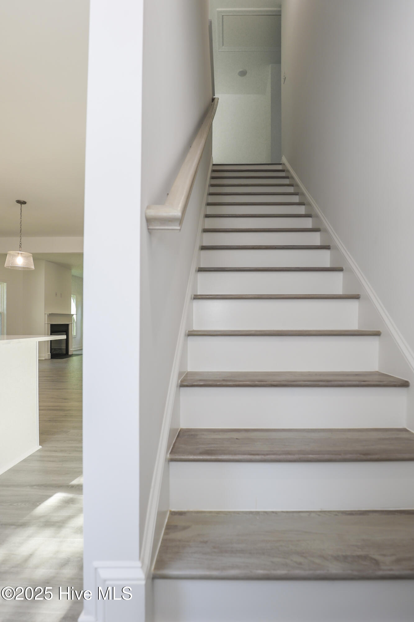 100518494 | Photo 32