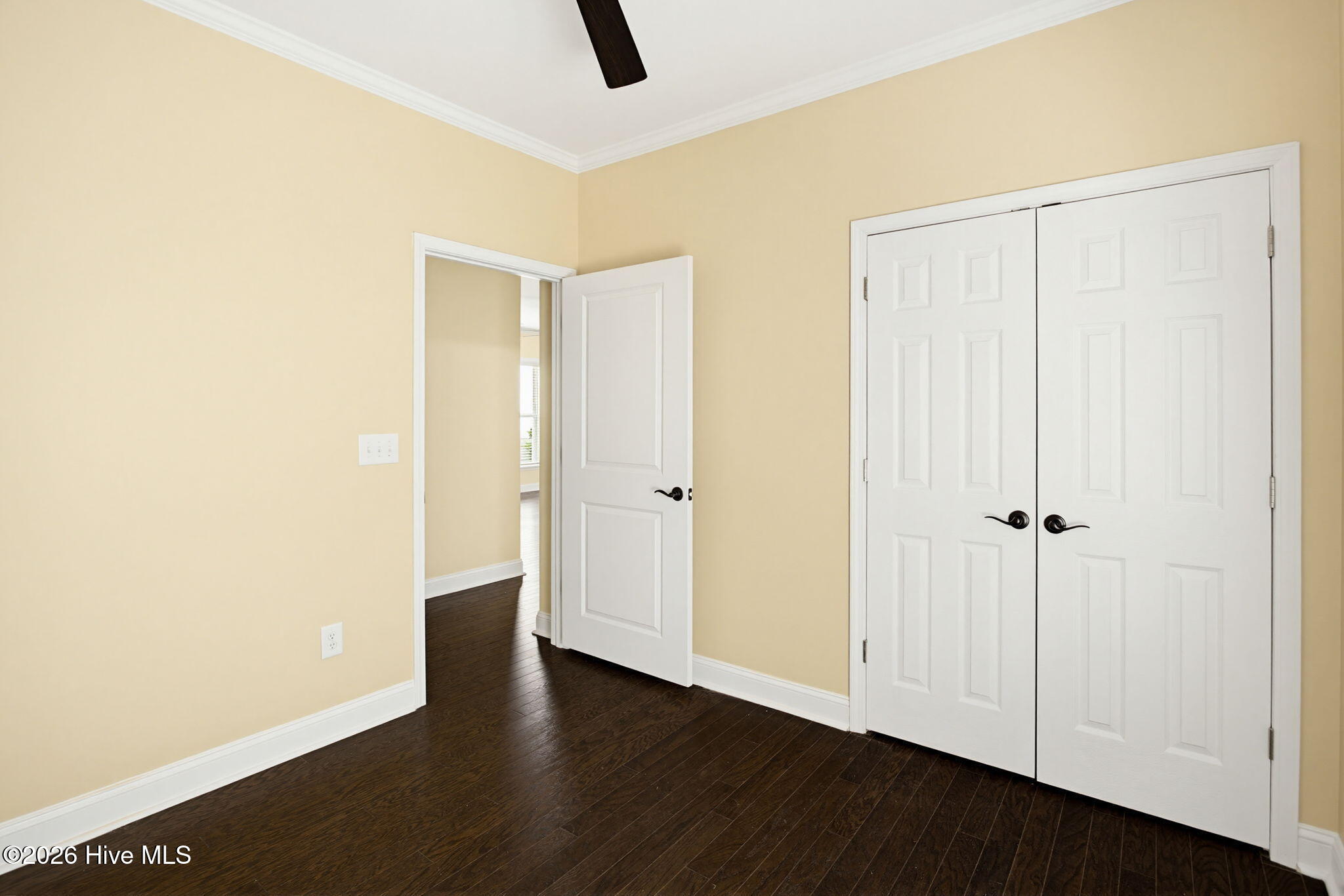 100567732 | Photo 24