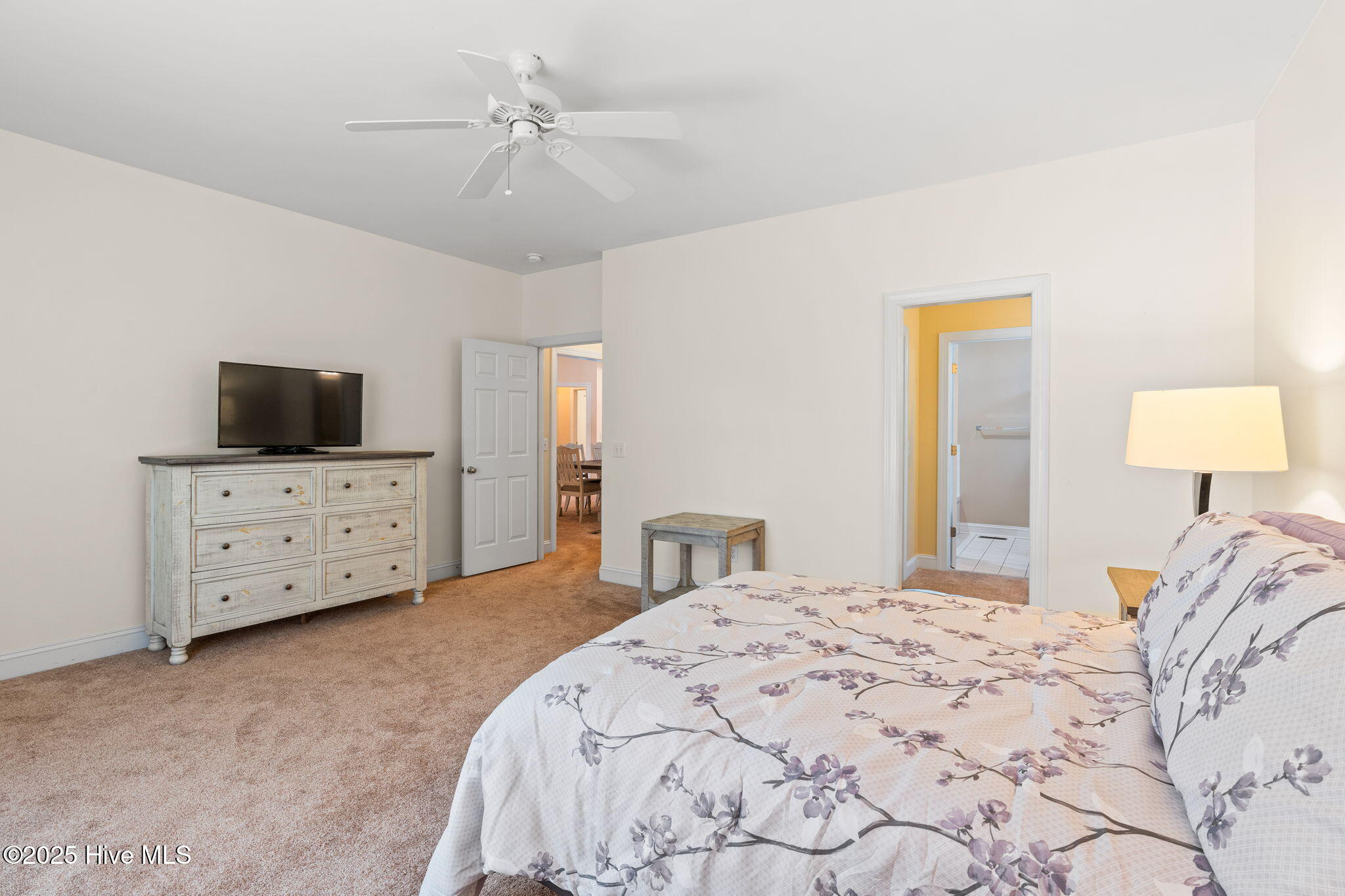 100513652 | Photo 16