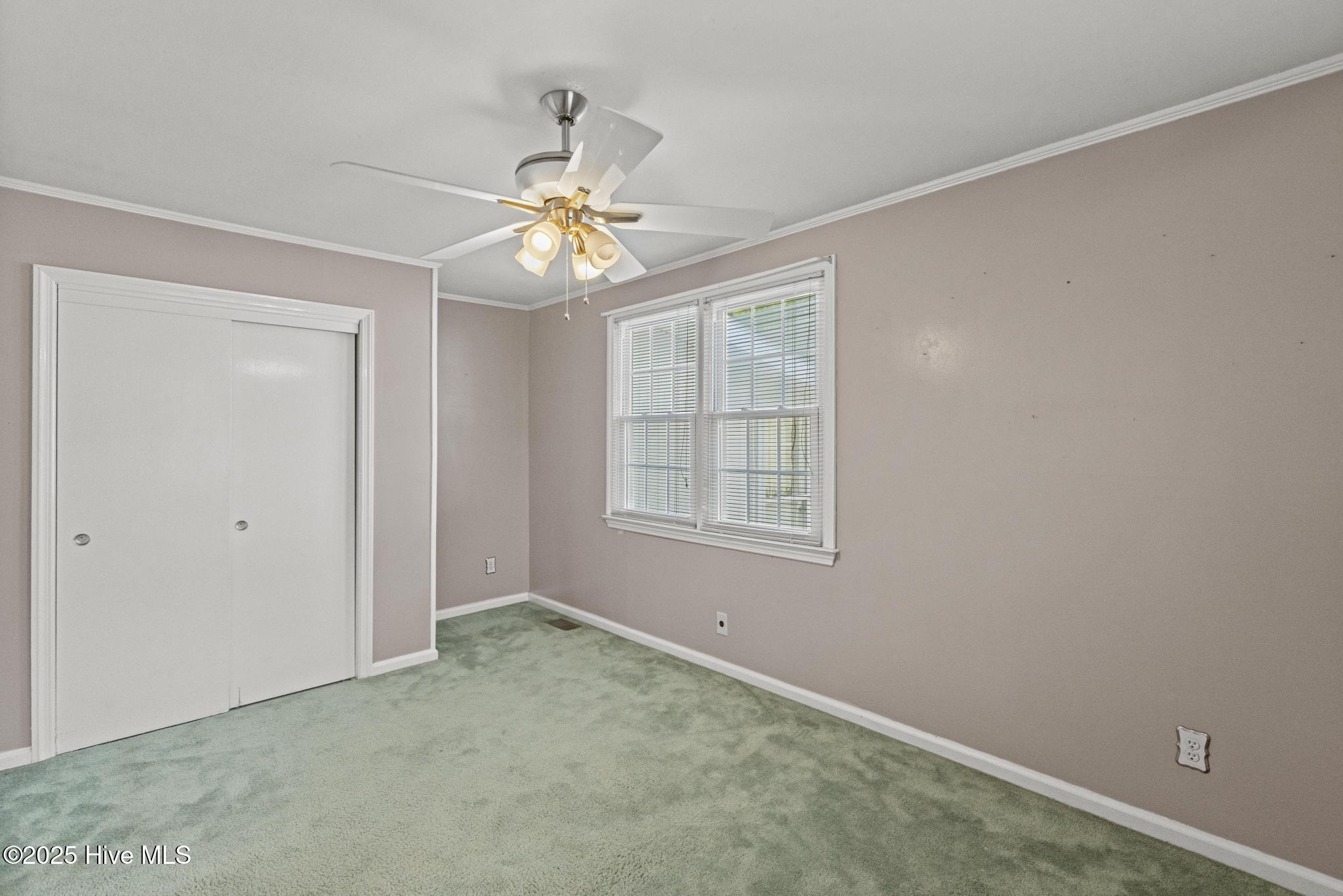 100532196 | Photo 13