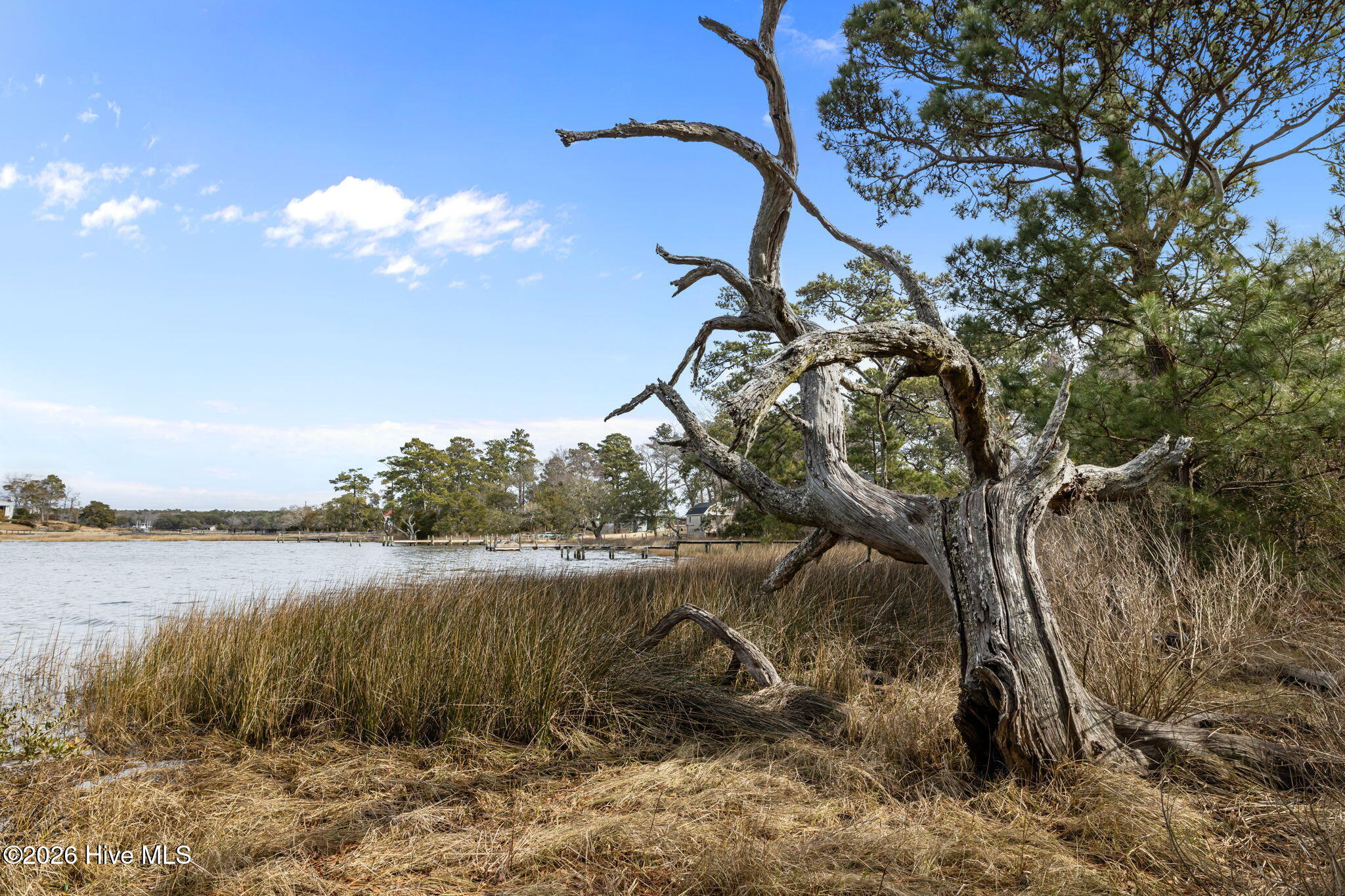 100558947 | Photo 45