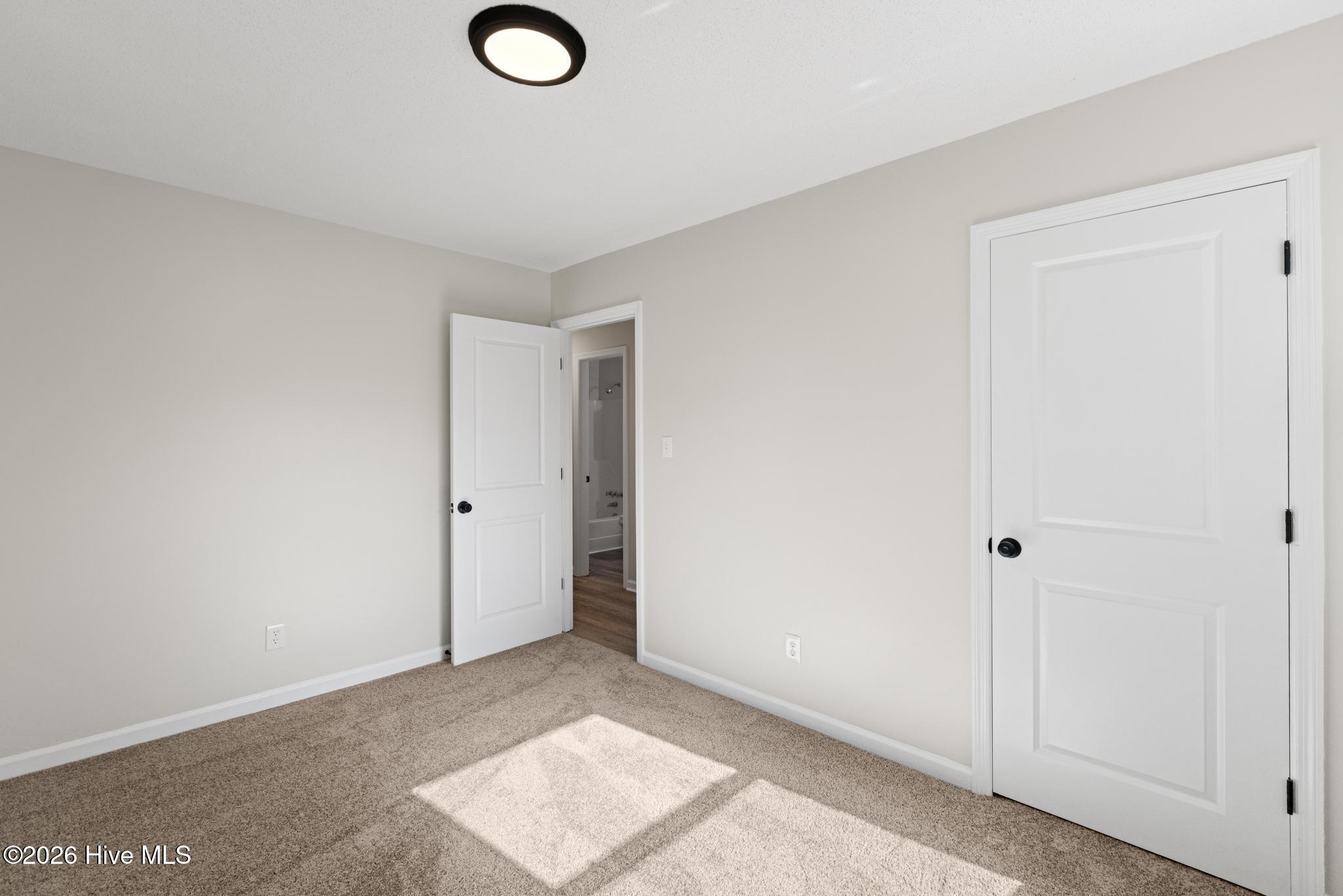 100565282 | Photo 18