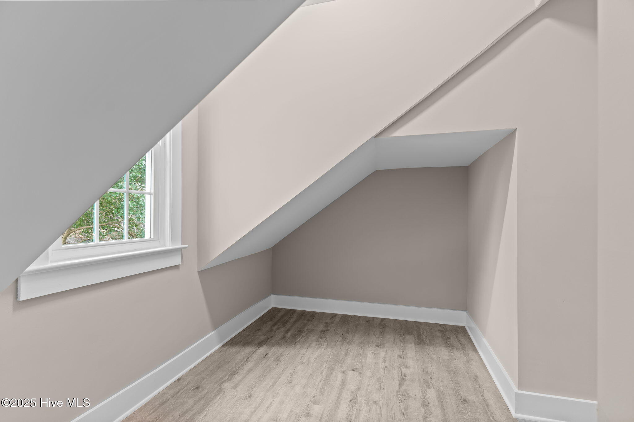 100542259 | Photo 39