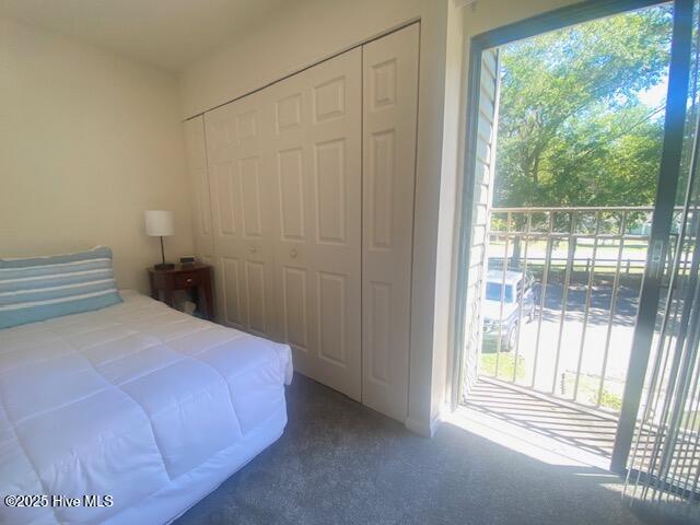 100530134 | Photo 34