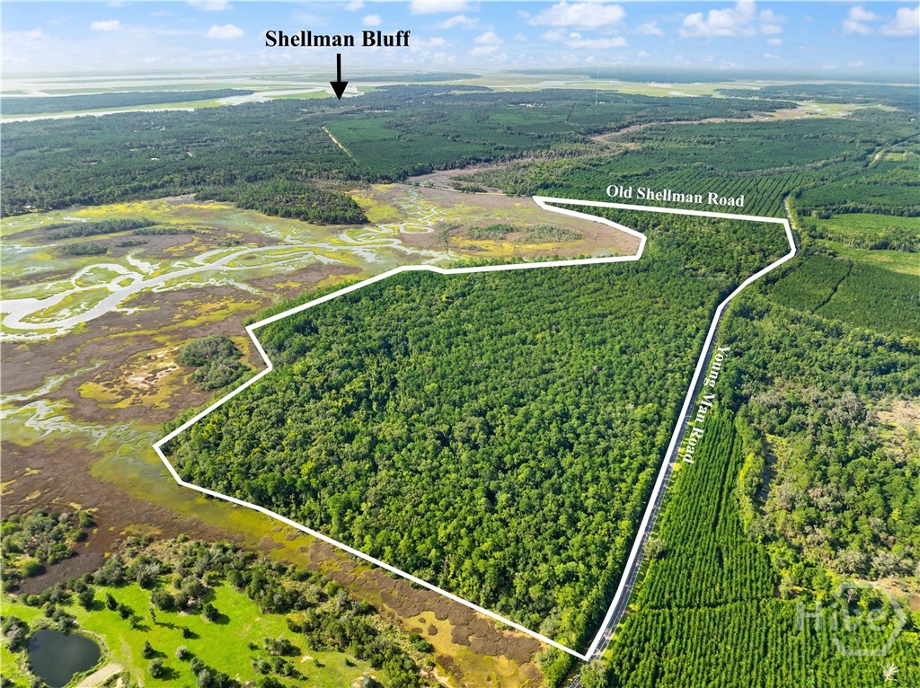 2265 Young Man, Townsend, Georgia, 0 ,Land,For sale,Young Man,SA364259 2265 Young Man, Townsend, Georgia, 0 ,Land,For sale,Young Man,SA364259