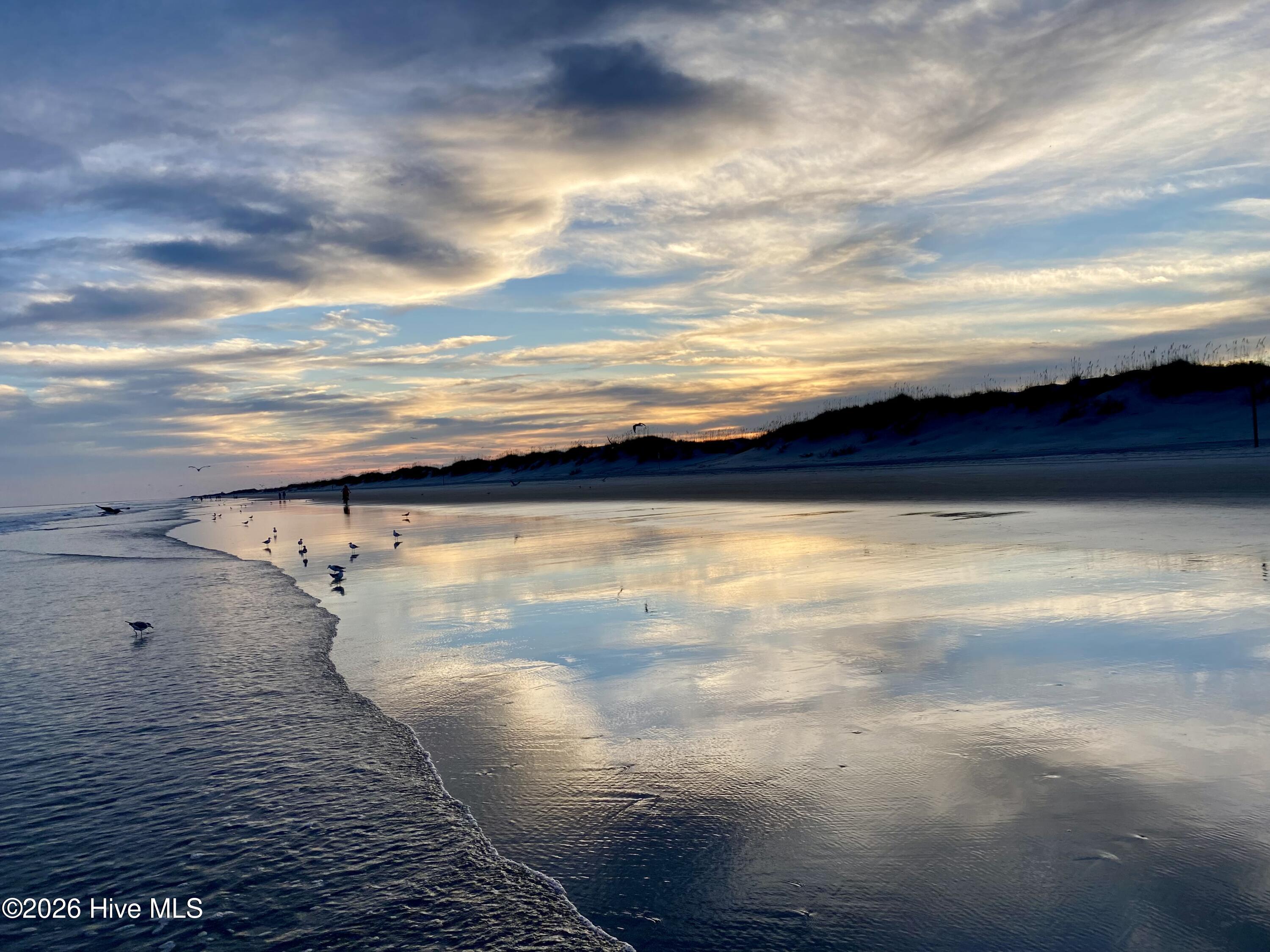 100567437 | Photo 26