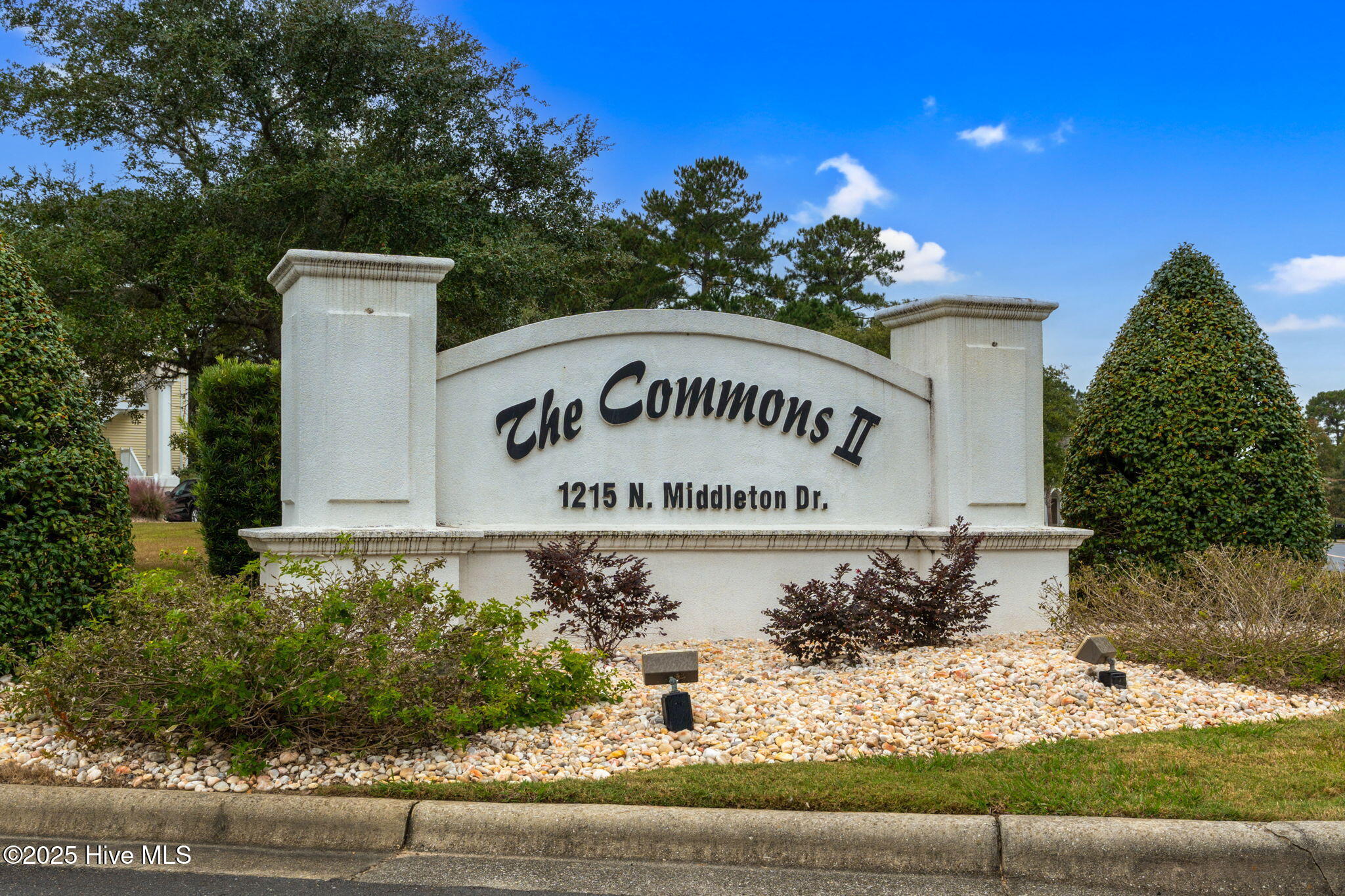 100538778 | Photo 56