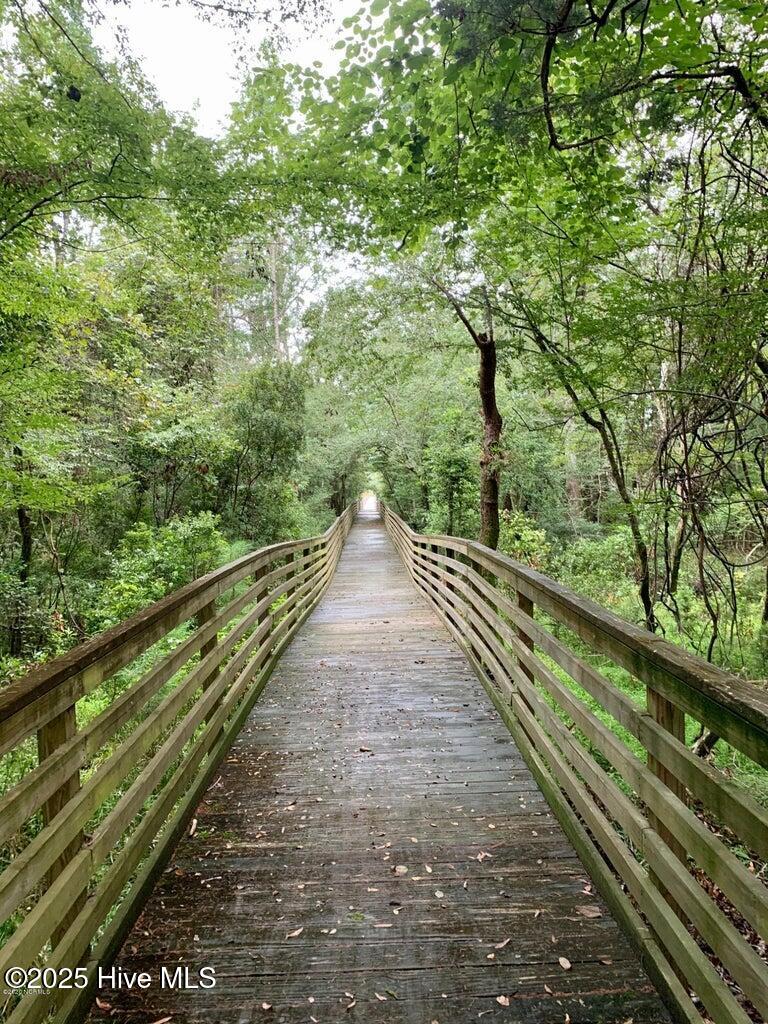 100541538 | Photo 11