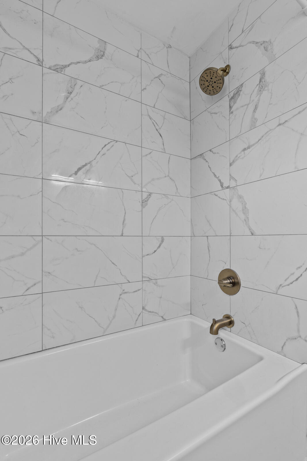 100565644 | Photo 14