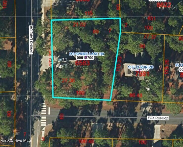 110 Spring Lake Drive