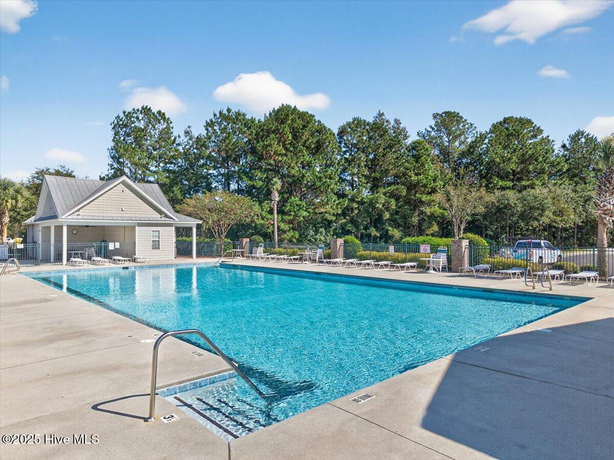 100536034 | Photo 30