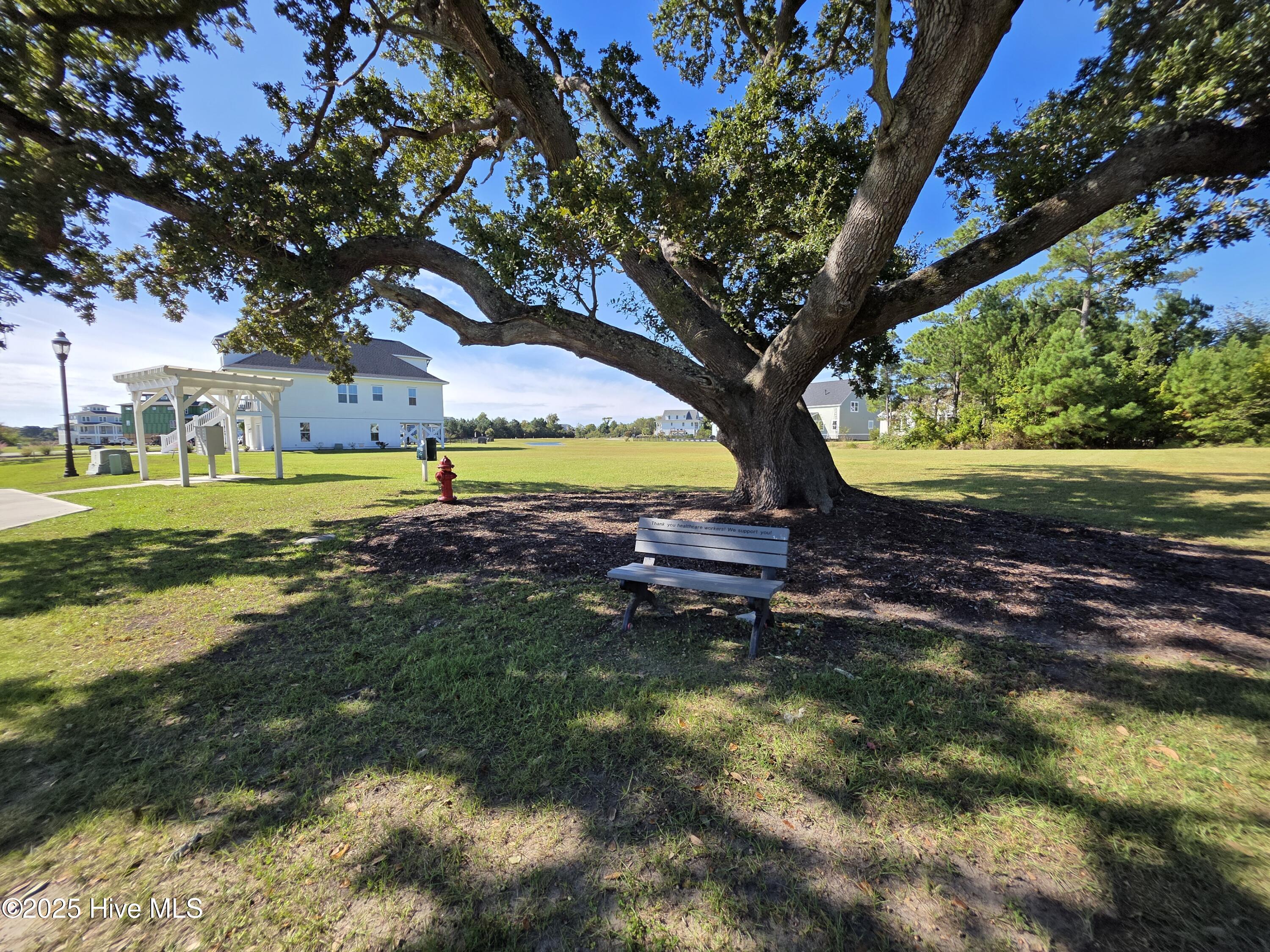 100564274 | Photo 37