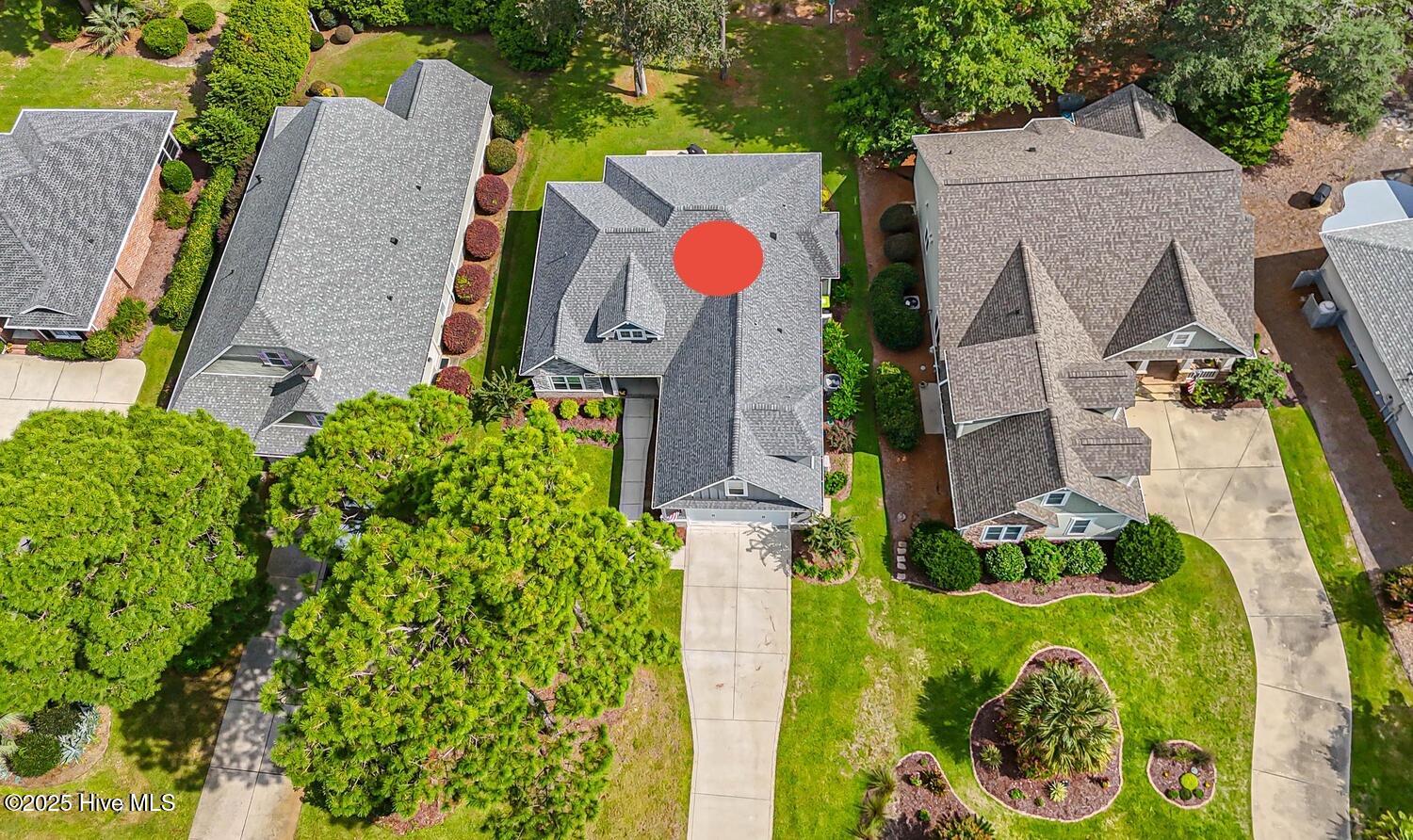 100558918 | Photo 65