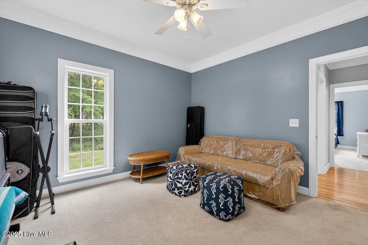 100530504 | Photo 32