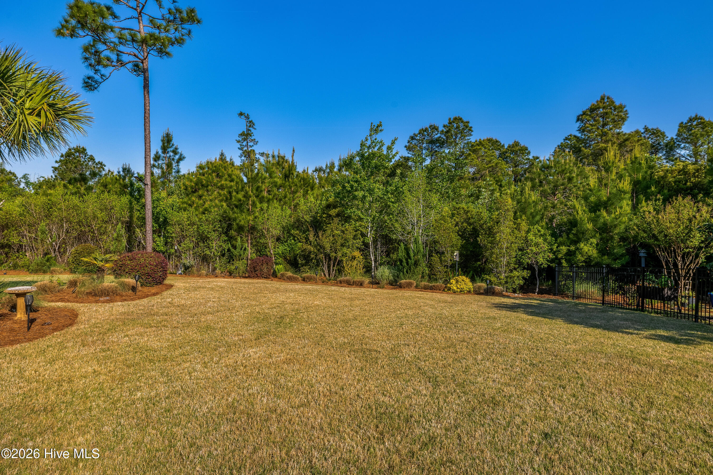 100570456 | Photo 25