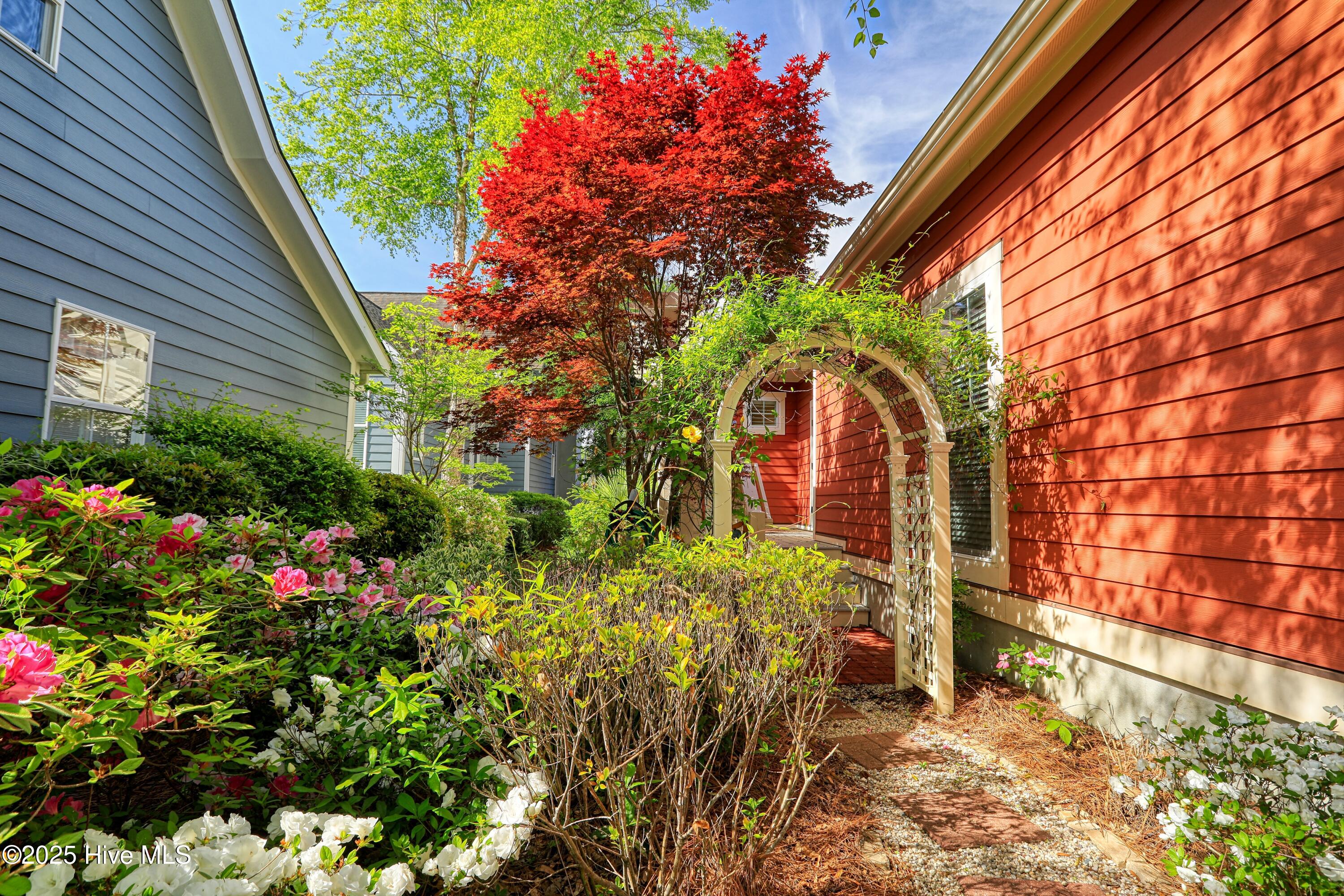 100502836 | Photo 35