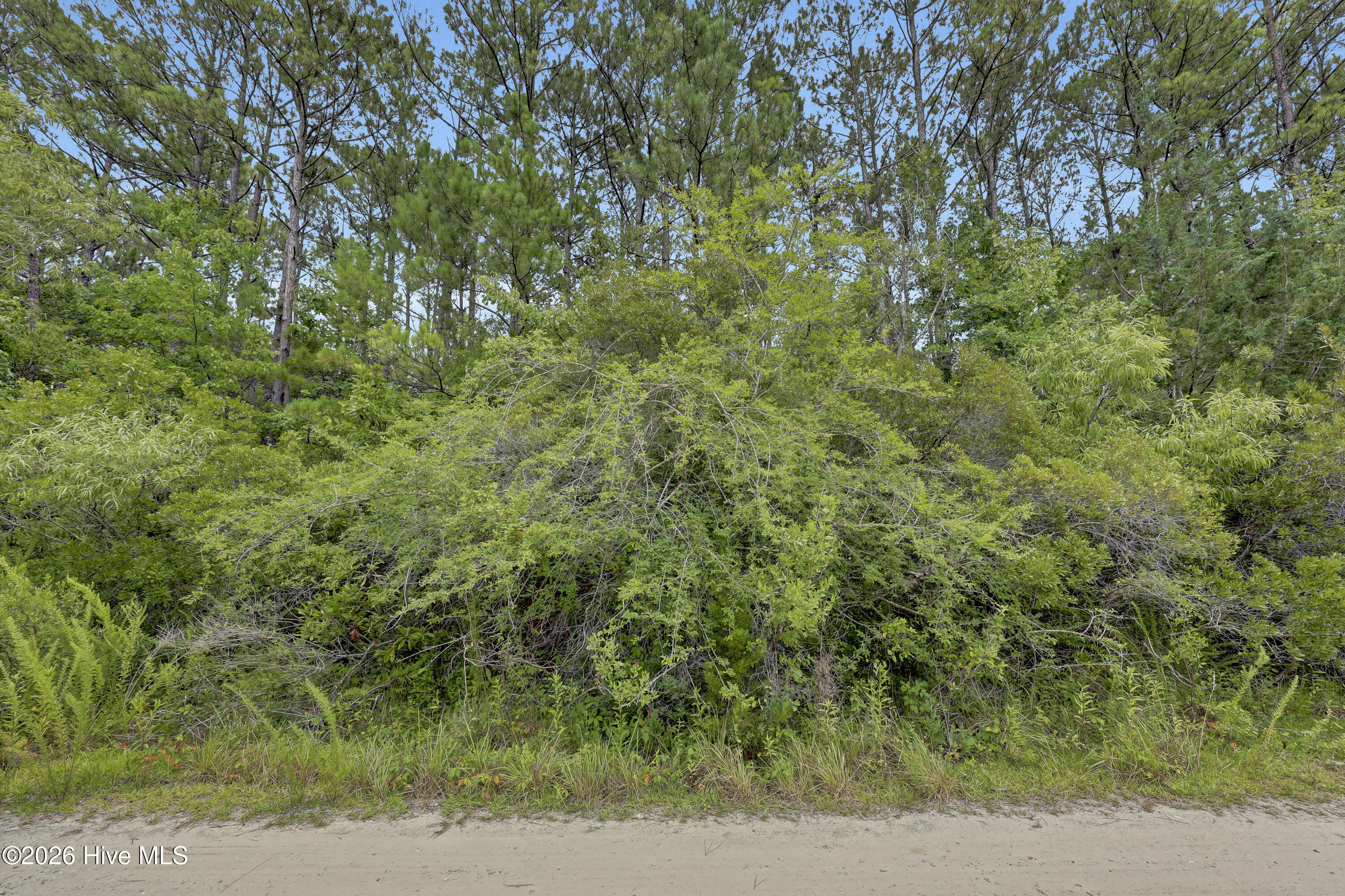 100590200 | Photo 64