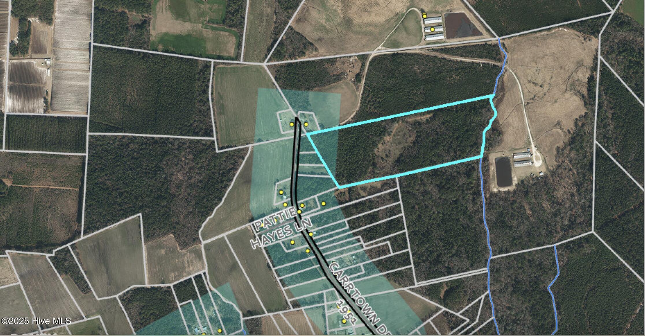 Screenshot 2025-08-24 at 3.48.52 PM