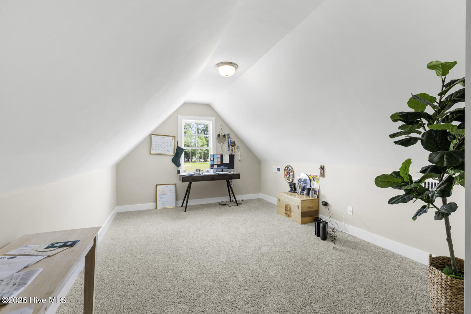 100565903 | Photo 13