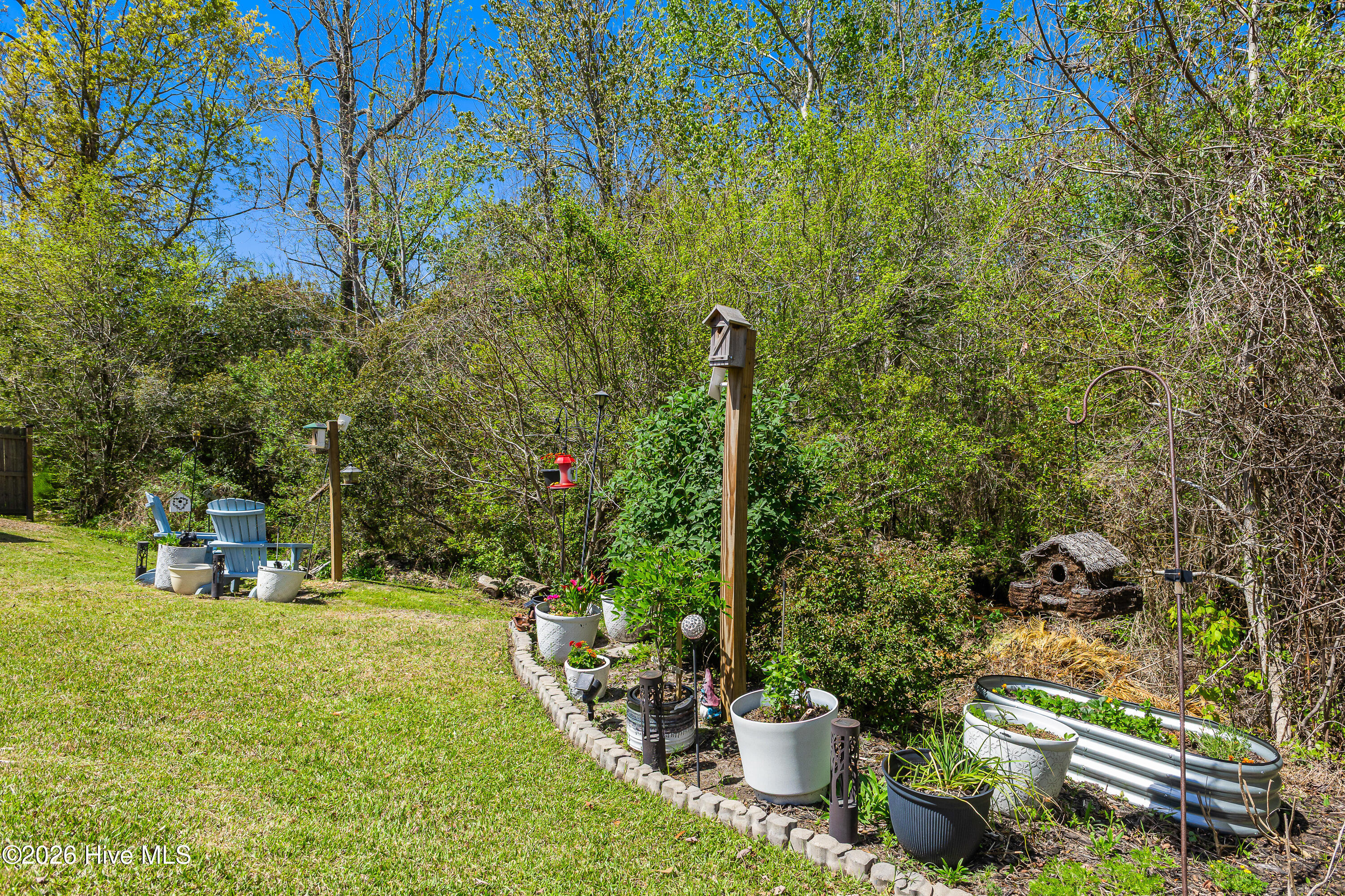 100565861 | Photo 47