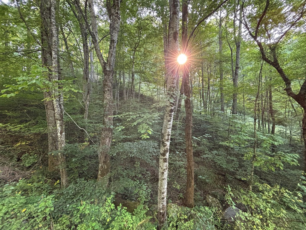 Exterior photo of Lot 8 Madison Lane, Robbinsville, NC 28771. MLS: 98543850