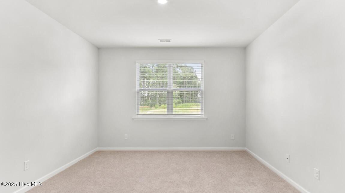 100558843 | Photo 17