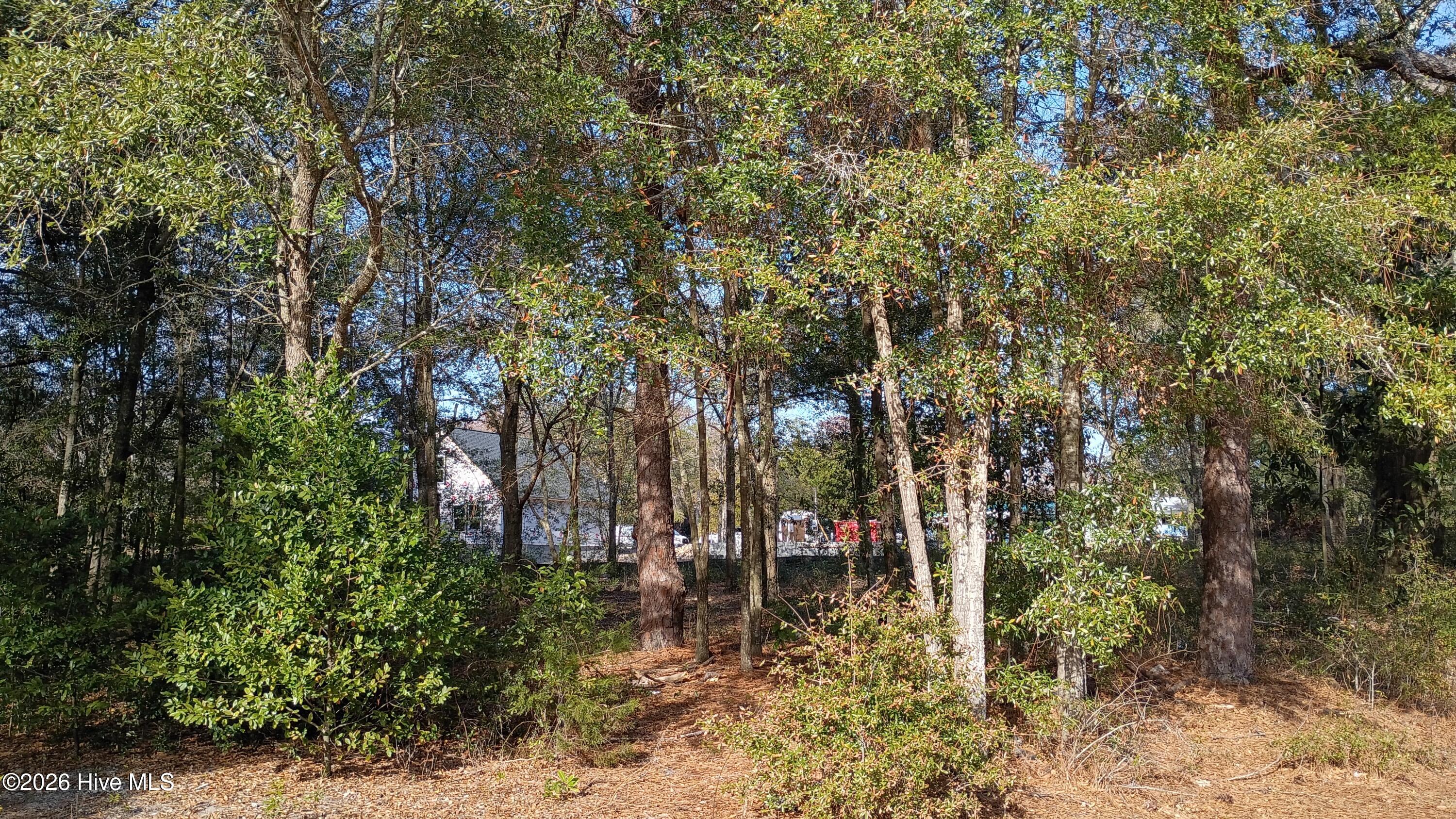 217 Clinton Street, Wilmington, NC, 28401