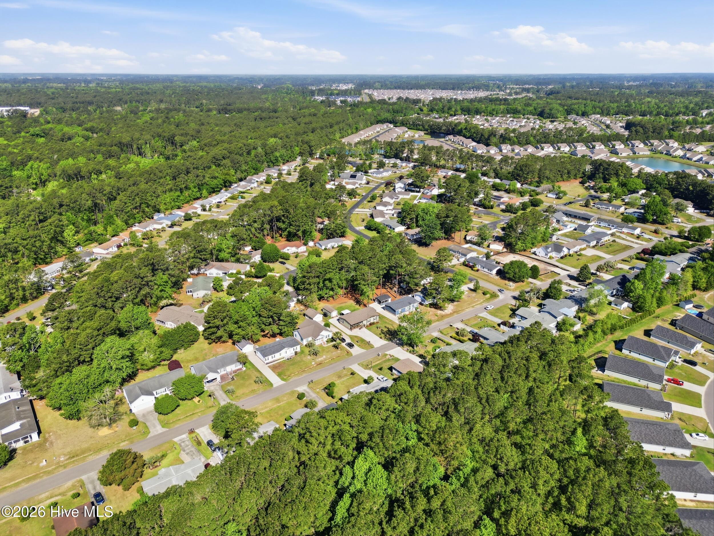 100567202 | Photo 38