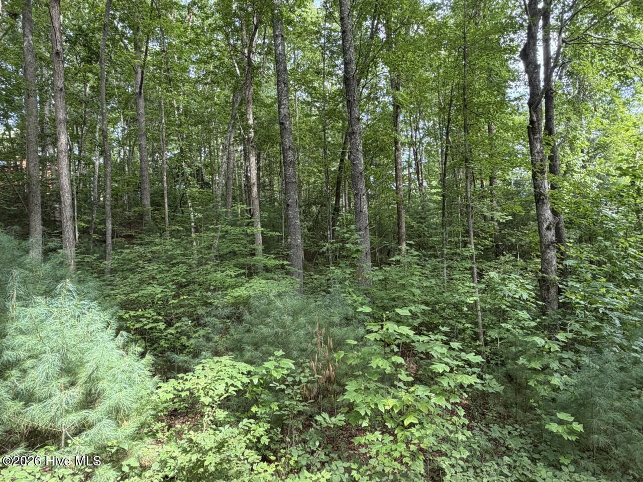 Exterior photo of Lot 9 27 Confederate Circle, Murphy, NC 28906. MLS: 100597707