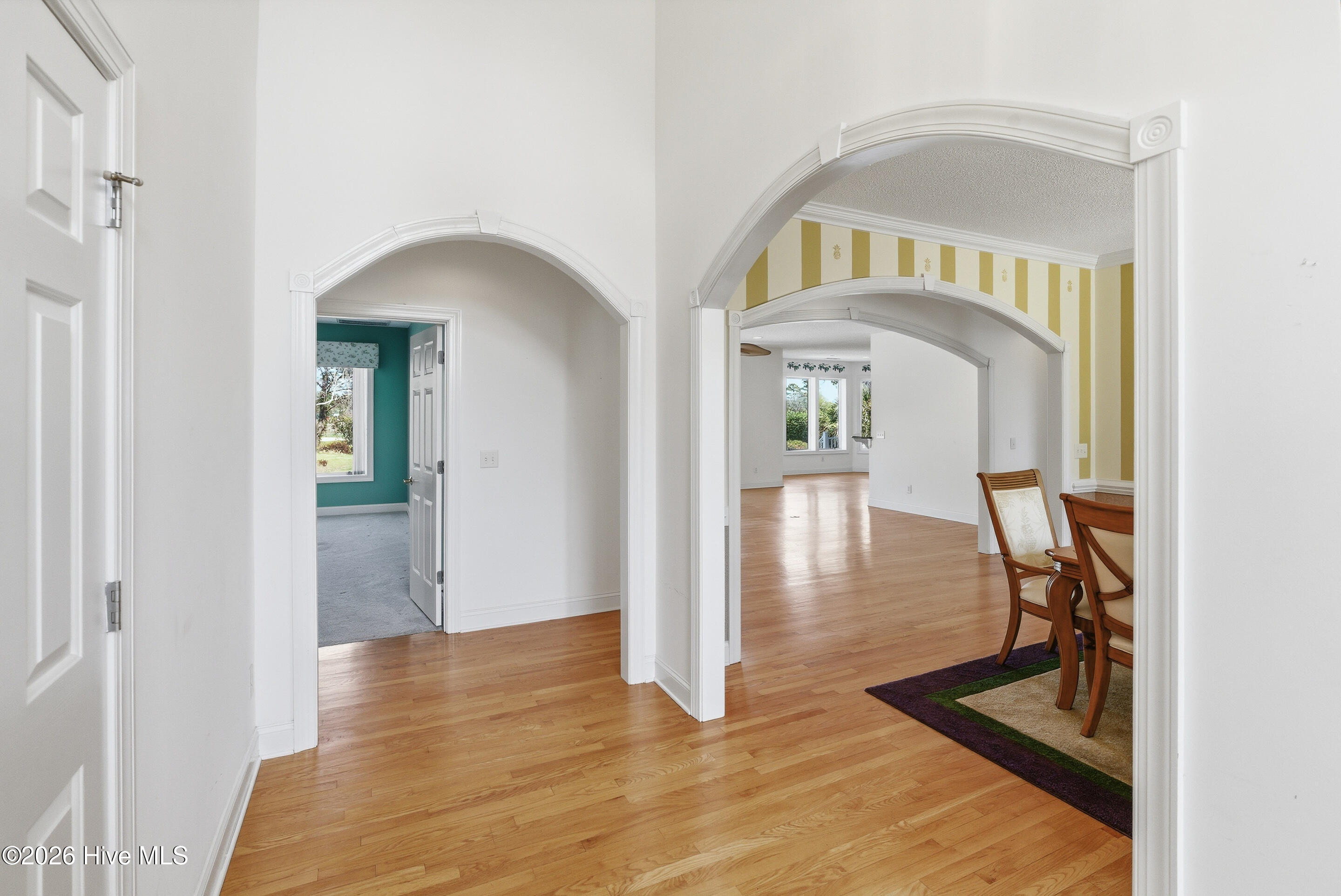 100564038 | Photo 11