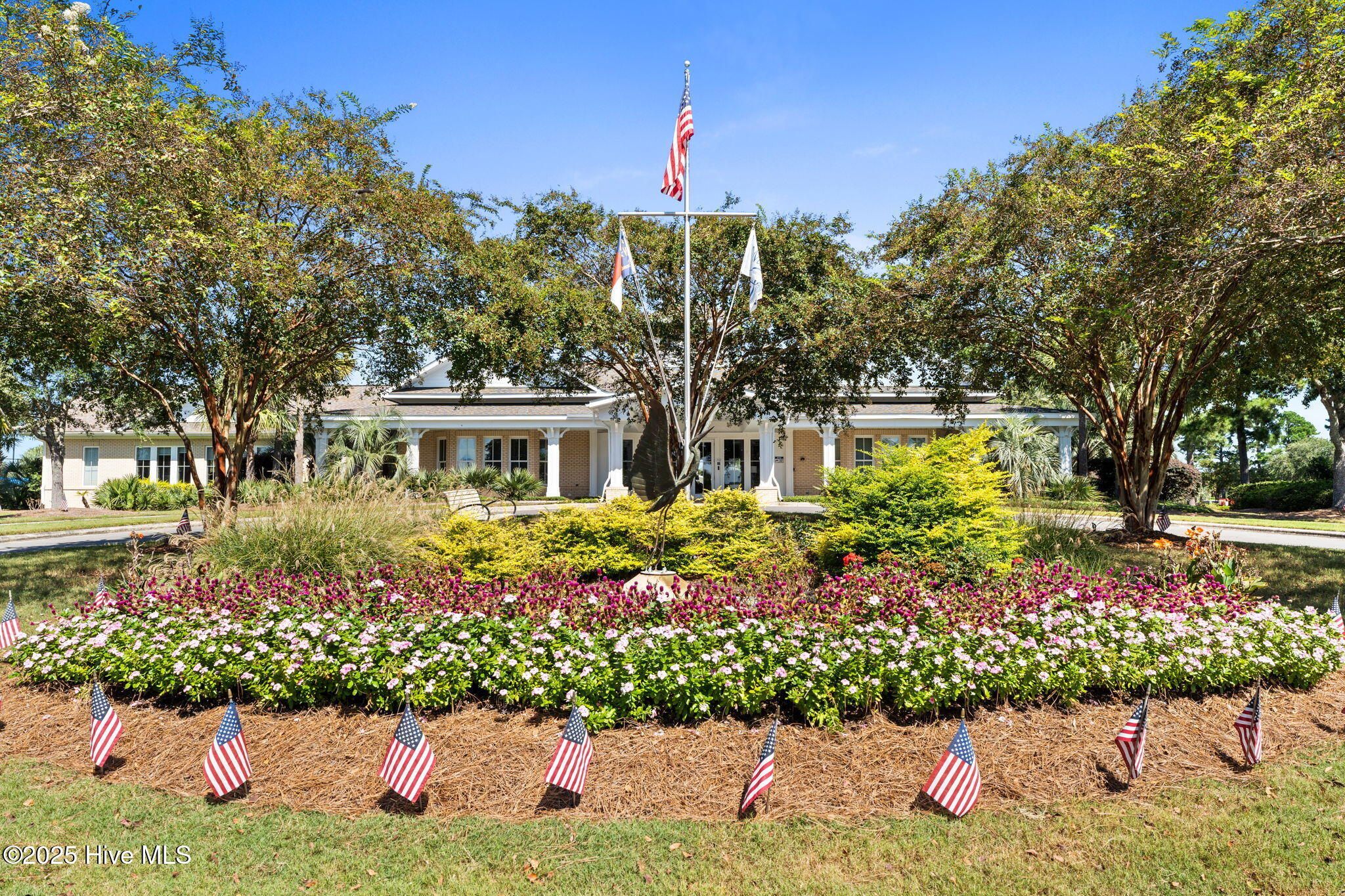 100528082 | Photo 26