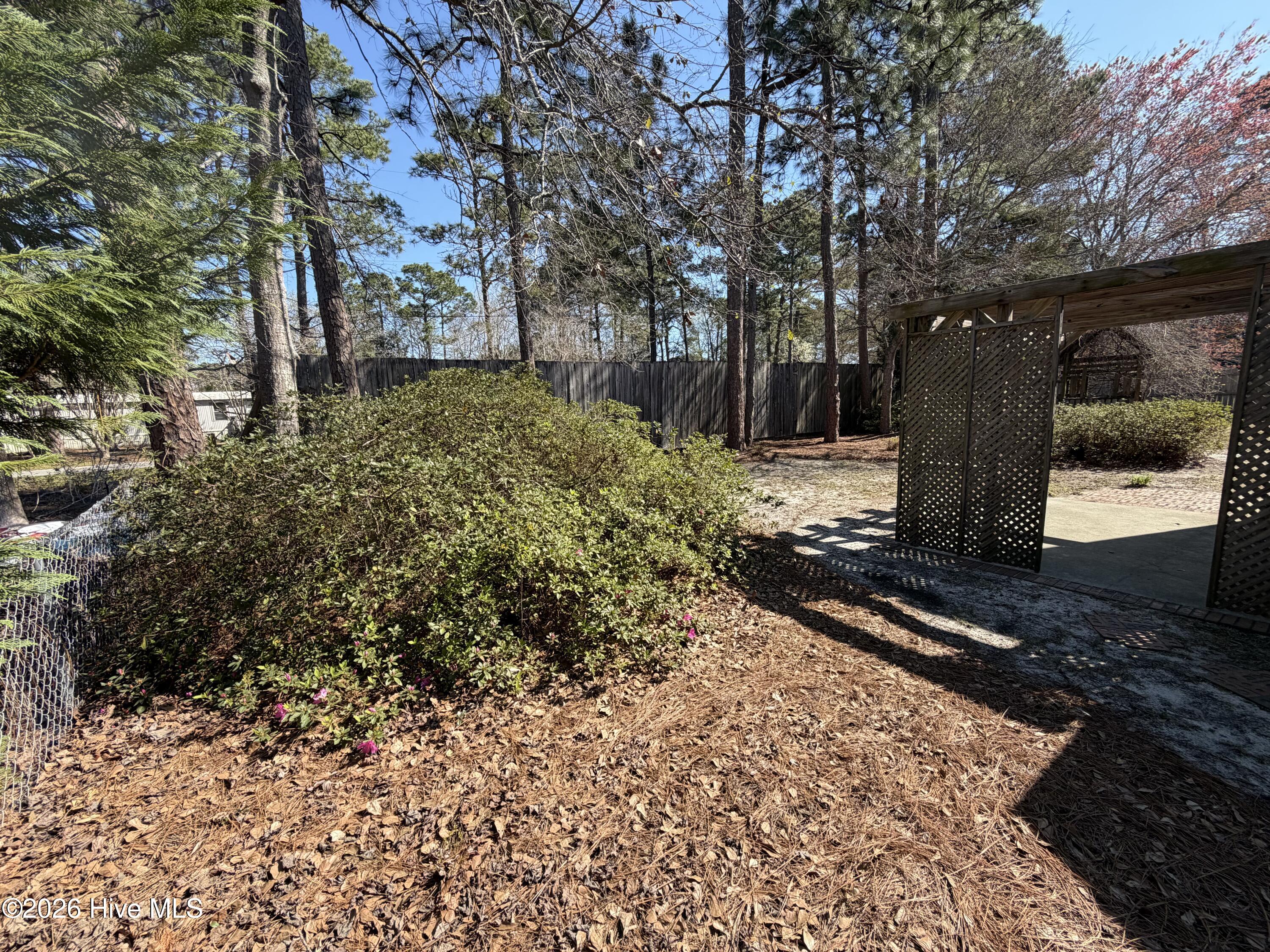 100561794 | Photo 17